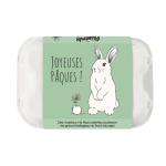 Blossombs - Œufs de Pâques à planter - Lapin - 6 bombes à graines - BIO - face recto